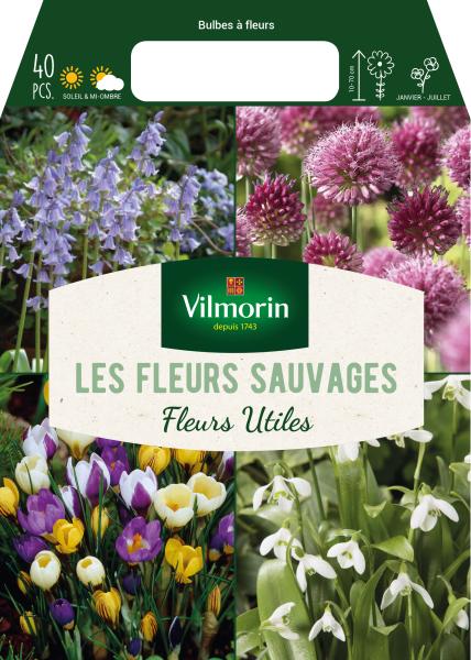 Bulbes à fleurs à planter à l'automne - Bulbes à fleurs en Mélange - Les fleurs sauvages (x40) - MEDIA_PACKAGING_VERSO